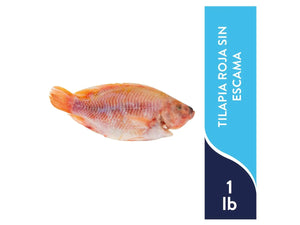 TILAPIA ROJA SIN ESCAMA