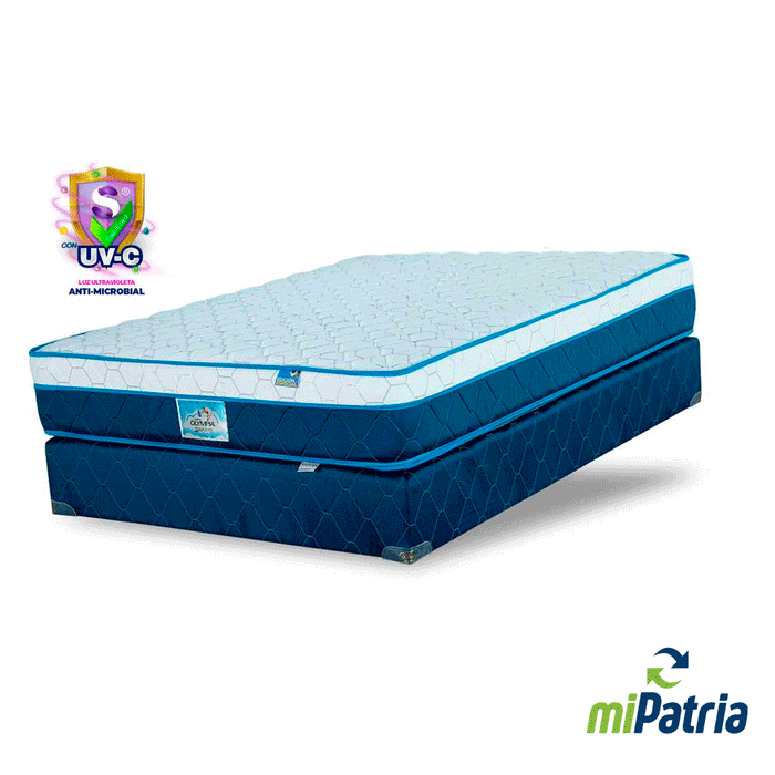 CAMA QUEEN CATRACHA