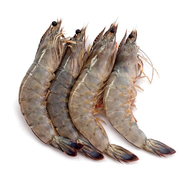Camarones jumbo