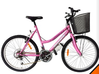 Bicicleta Niña #20