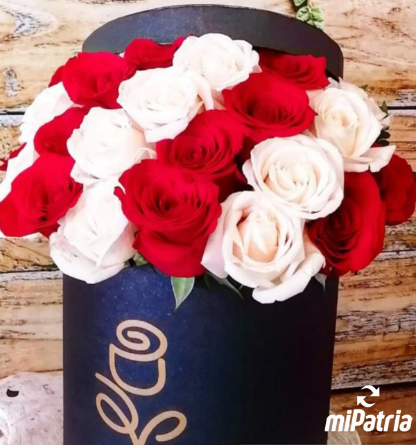 FlowerBox FB-20