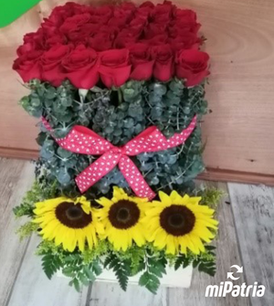 FlowerBox FBG-50